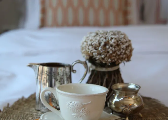 Bella Sombra 골터크부쿠